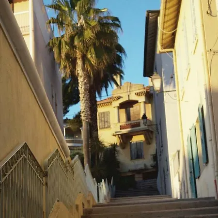 Le Havre Du Marche Couvert Sainte-Maxime